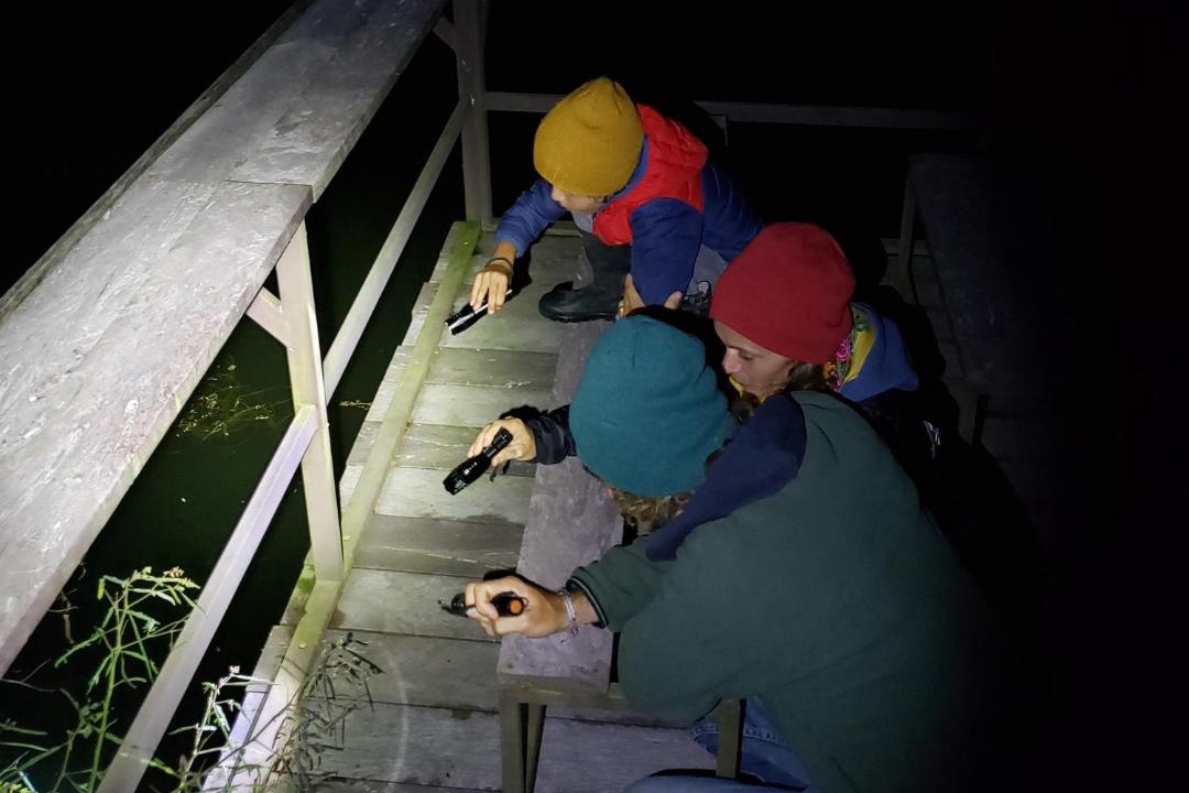 Photo of Others in Tres Equis