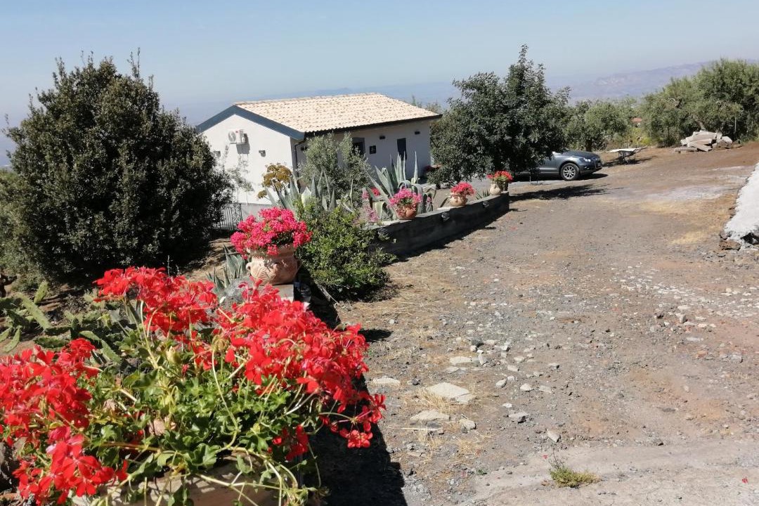 Photo of Buildings in Ragalna