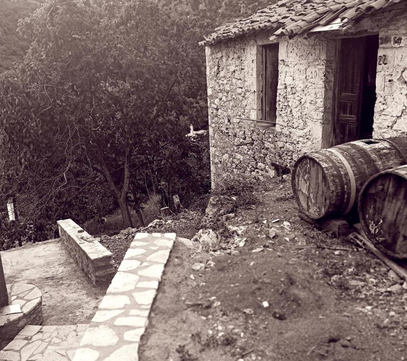 Photo of Others in Dimitsana