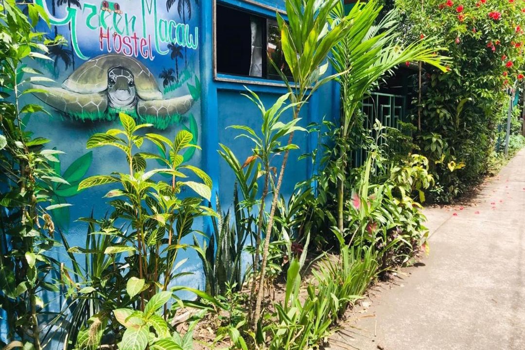 Photo of Others in Tortuguero