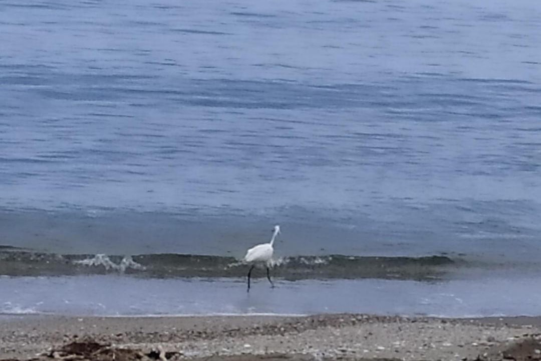 Photo of Outdoor in Kavala