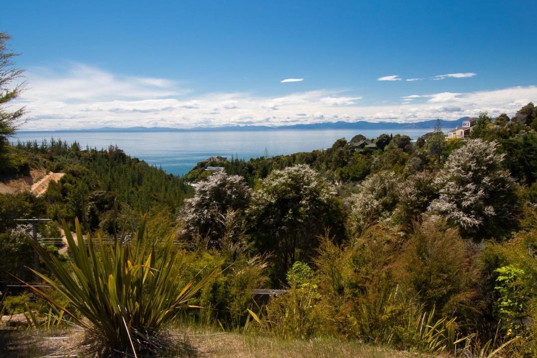 Photo of Others in Ngaio Bay