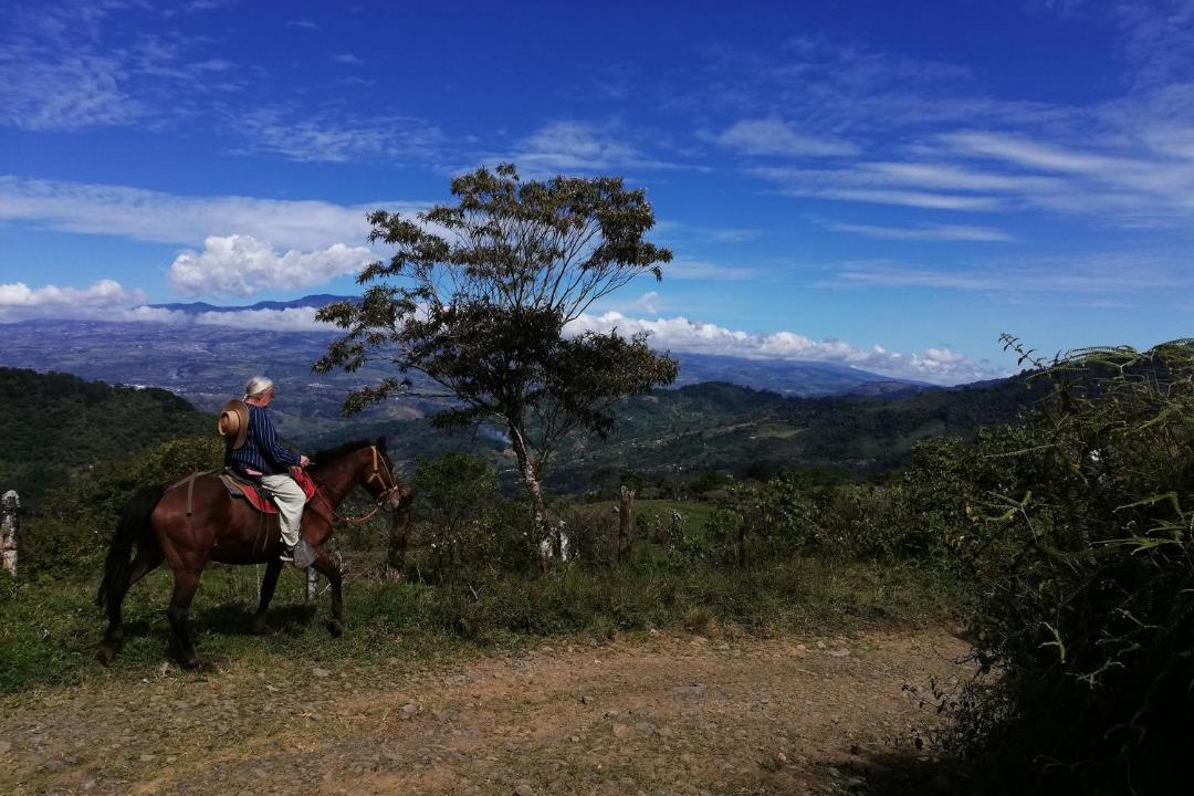Photo of Others in Pacuare Reserve