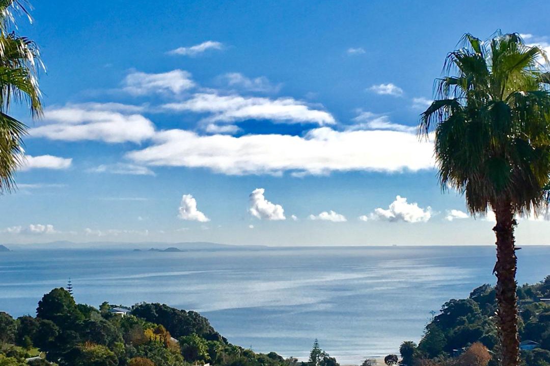 Photo of Others in Waiheke Island
