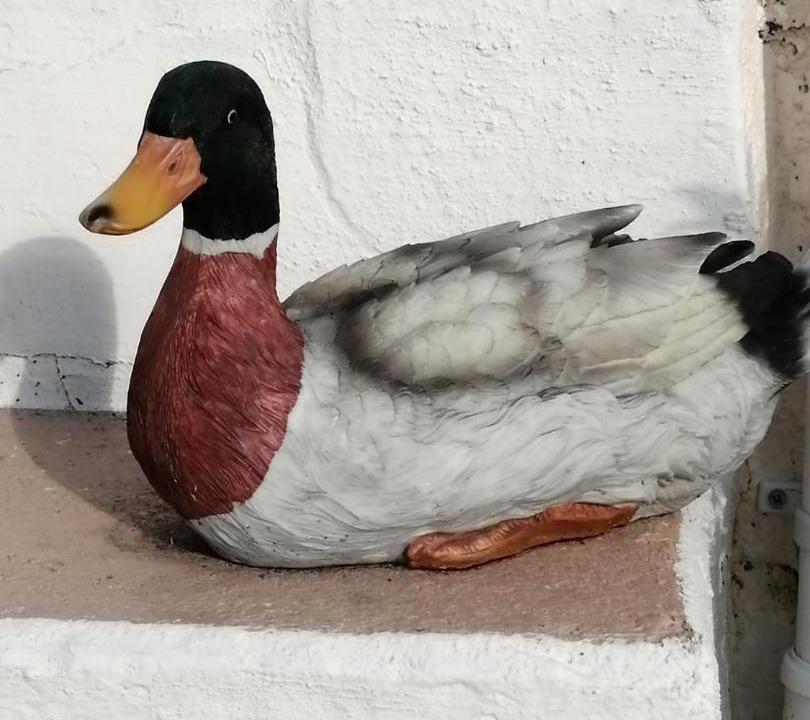 Photo of Others in Biggar