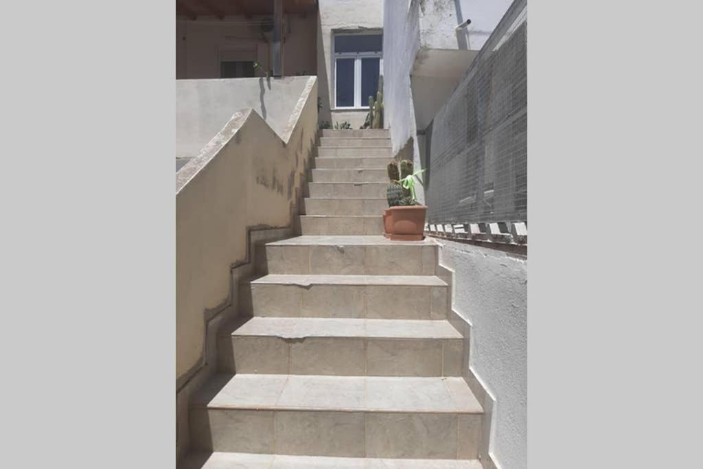 Photo of Others in Mires