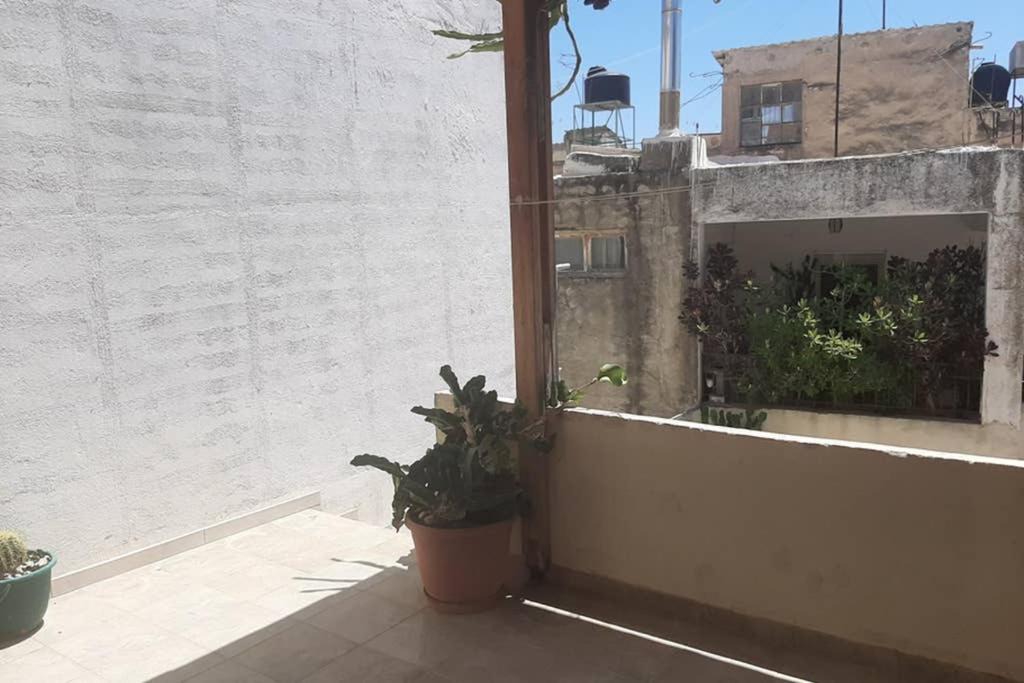 Photo of Others in Mires