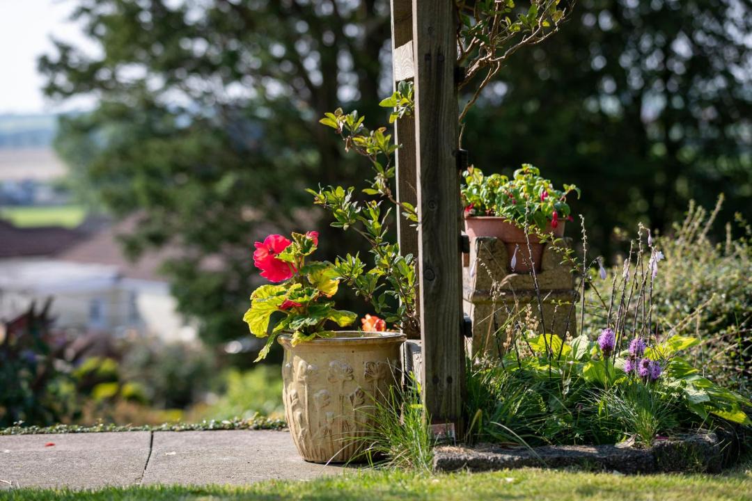 Photo of Others in Wigtown