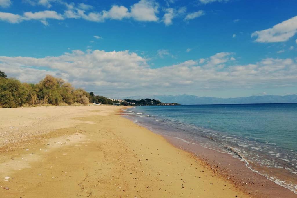 Photo of Outdoor in Koroni