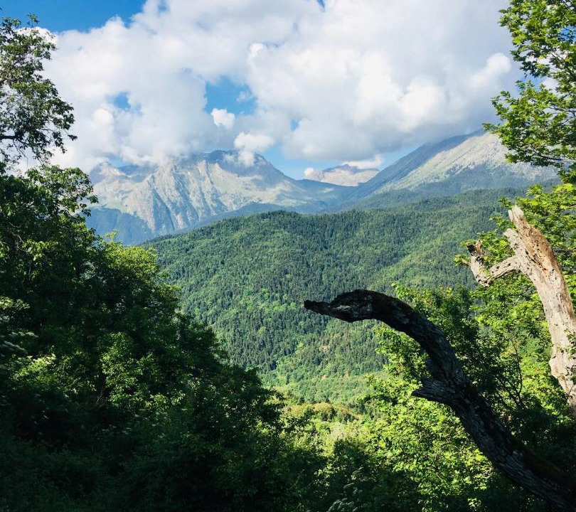 Photo of Outdoor in Kastriotissa