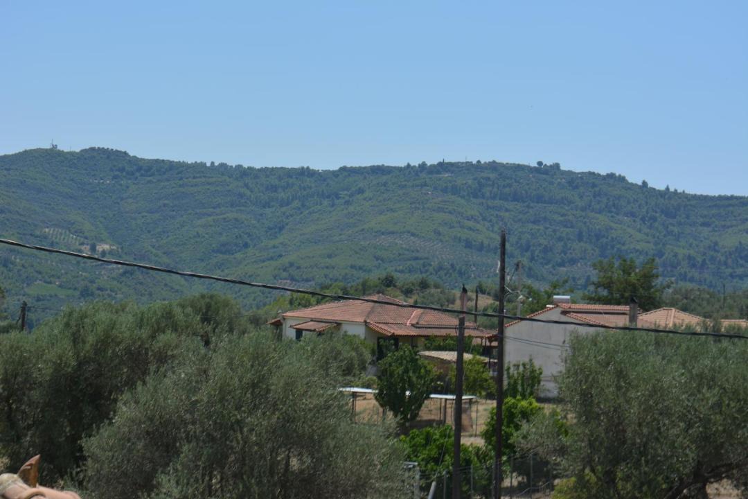 Photo of Others in Archea Pissa