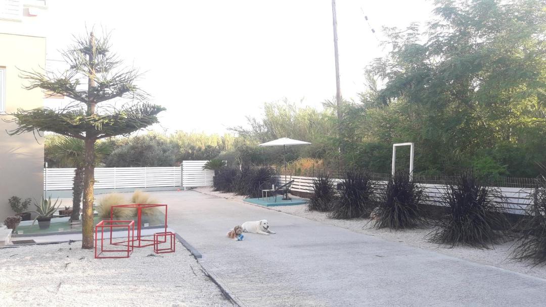 Photo of Others in Gerani