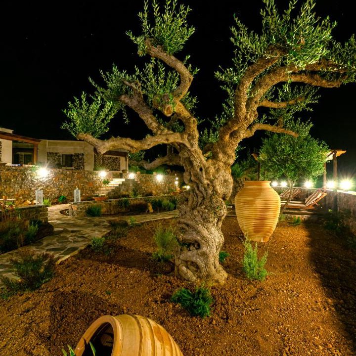 Photo of Others in Sitia