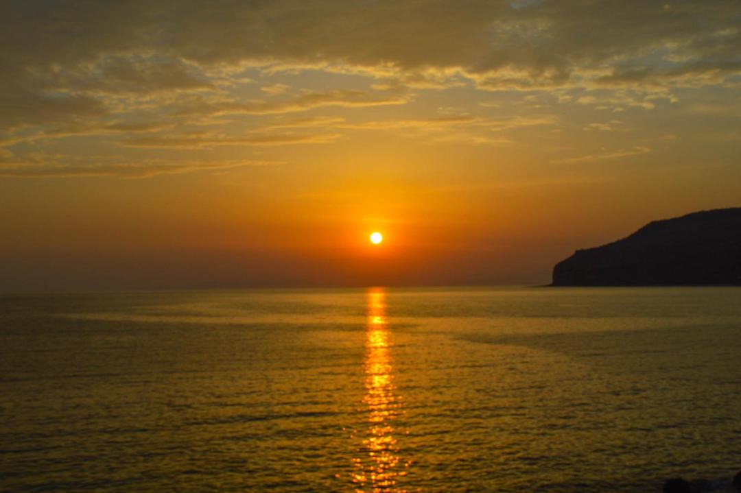 Photo of Others in Omales