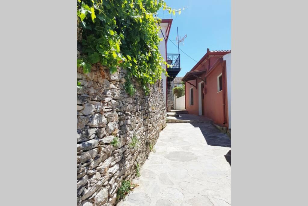 Photo of Others in Trikeri