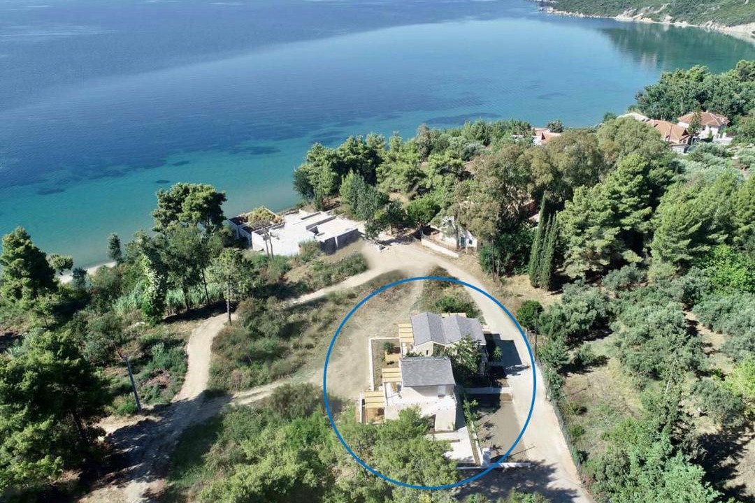 Photo of Others in Pogonia