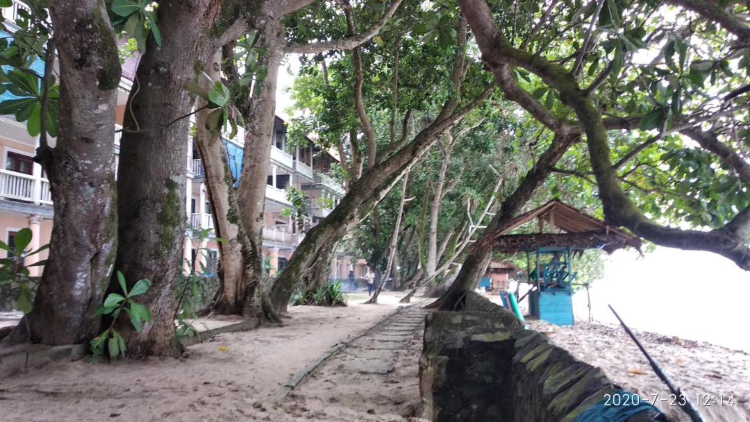 Photo of Others in Carita