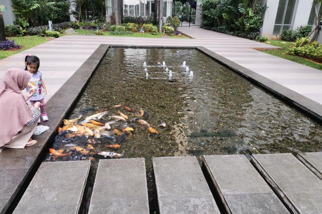 Photo of Others in Pluit