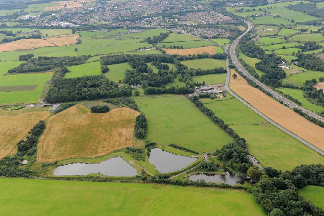 Photo of Others in Denny