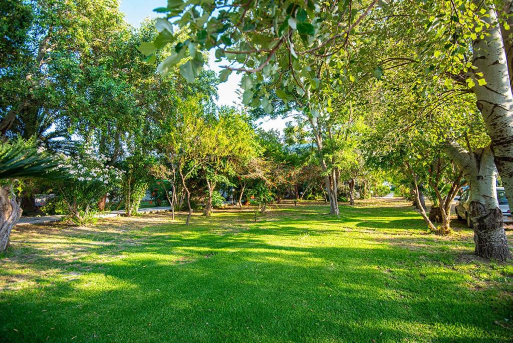 Photo of Outdoor in Palaiochora