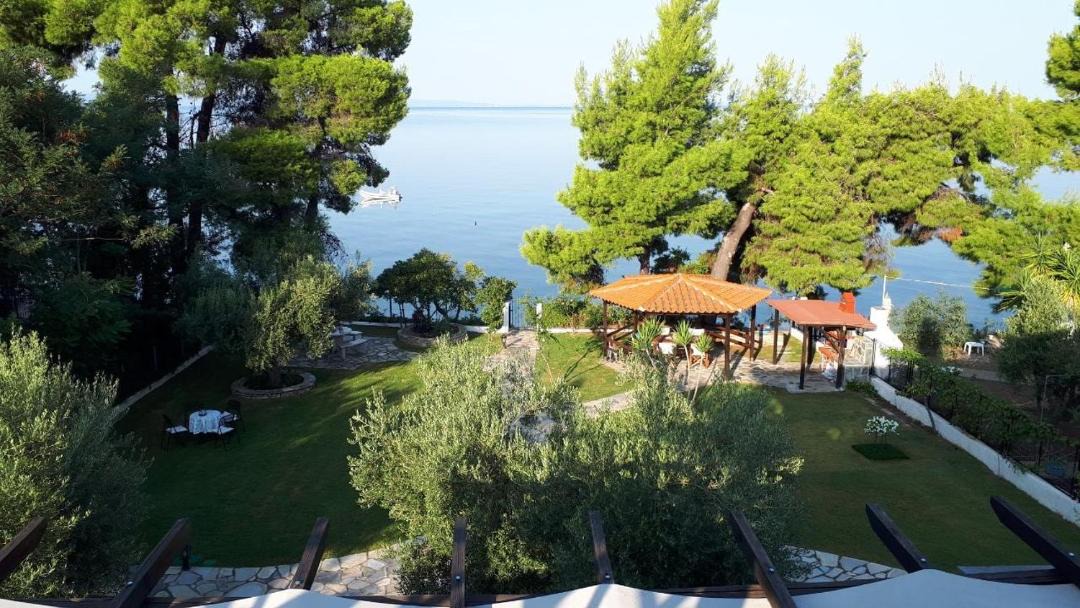 Photo of Others in Elia Nikitis