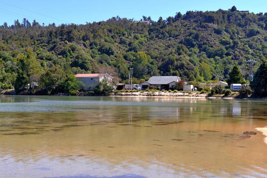 Photo of Others in Ngaio Bay