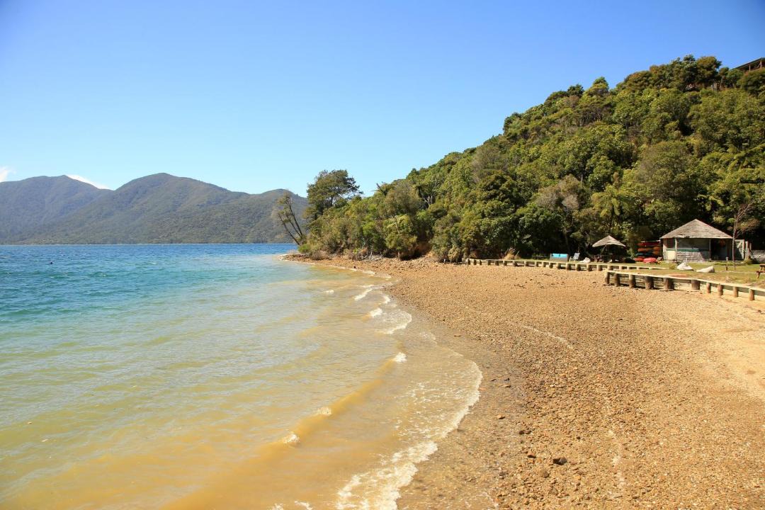 Photo of Others in Punga Cove