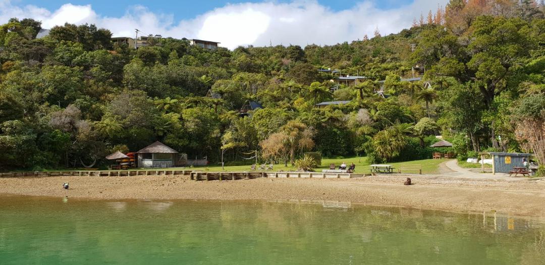 Photo of Others in Punga Cove