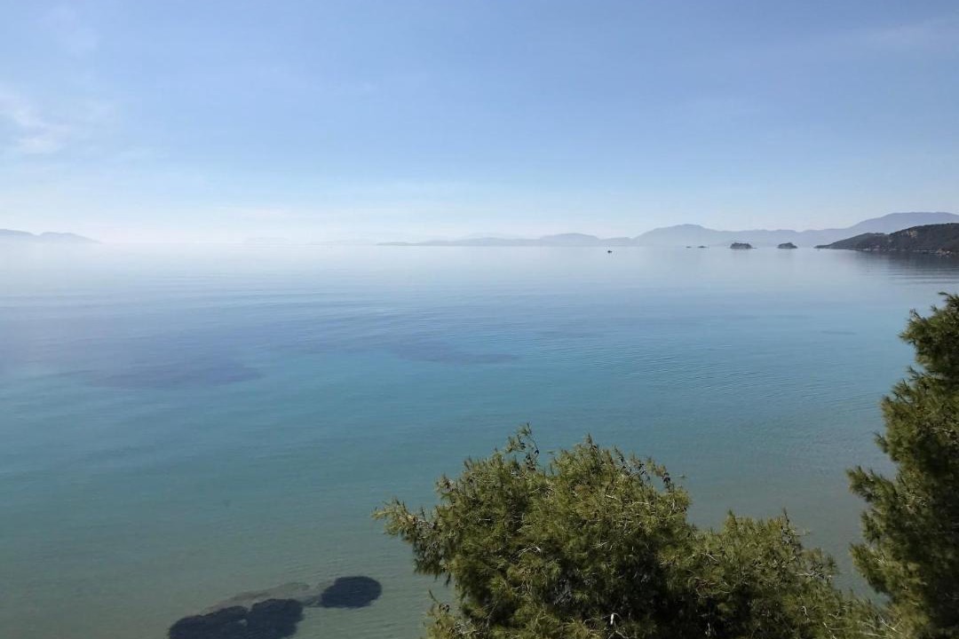 Photo of Outdoor in Pogonia