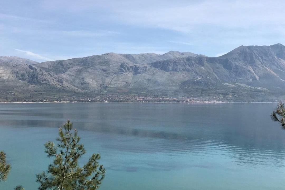 Photo of Outdoor in Pogonia