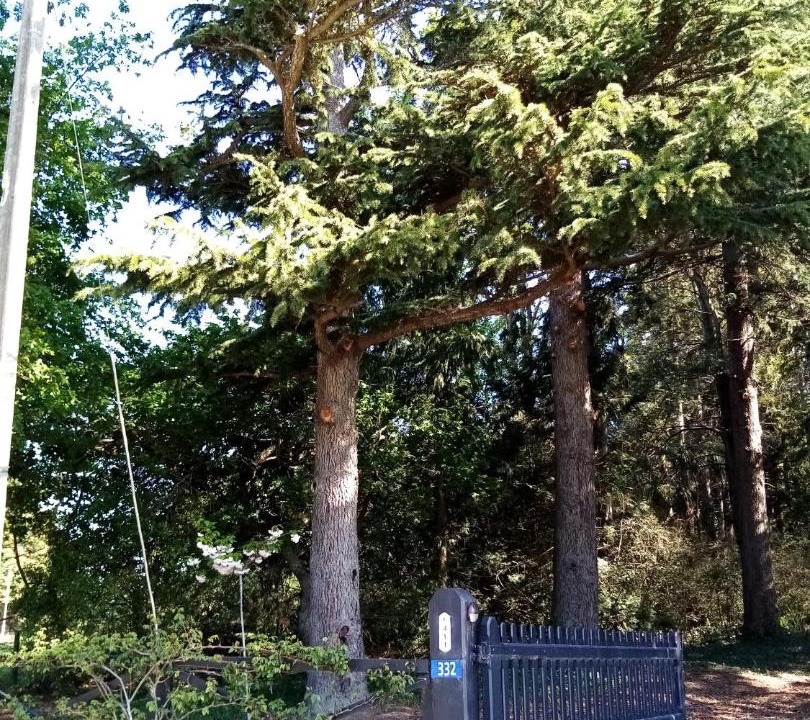 Photo of Outdoor in Timaru