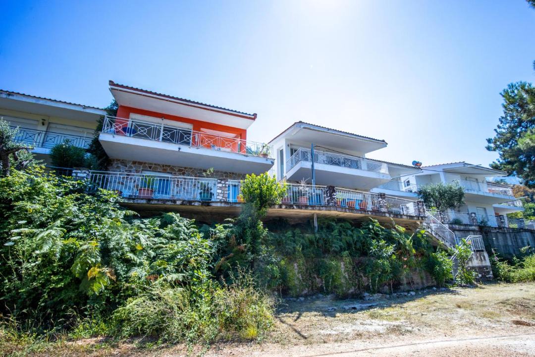 Photo of Others in Skala Potamias