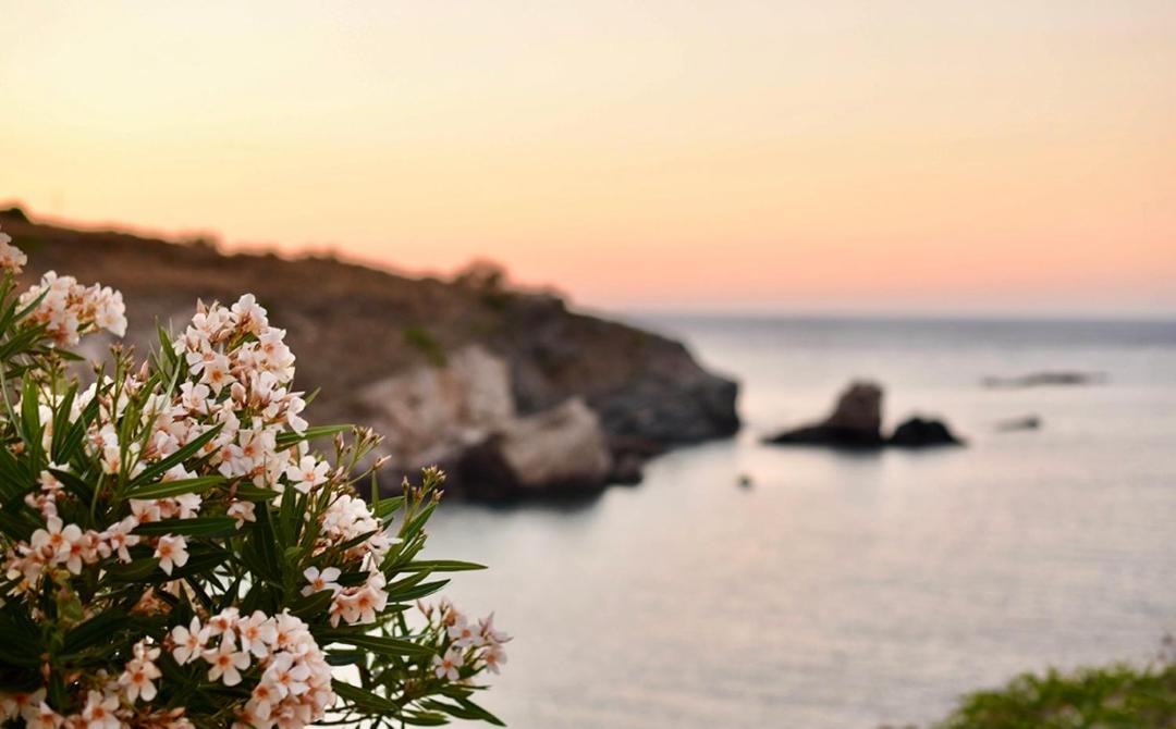 Photo of Outdoor in Abela