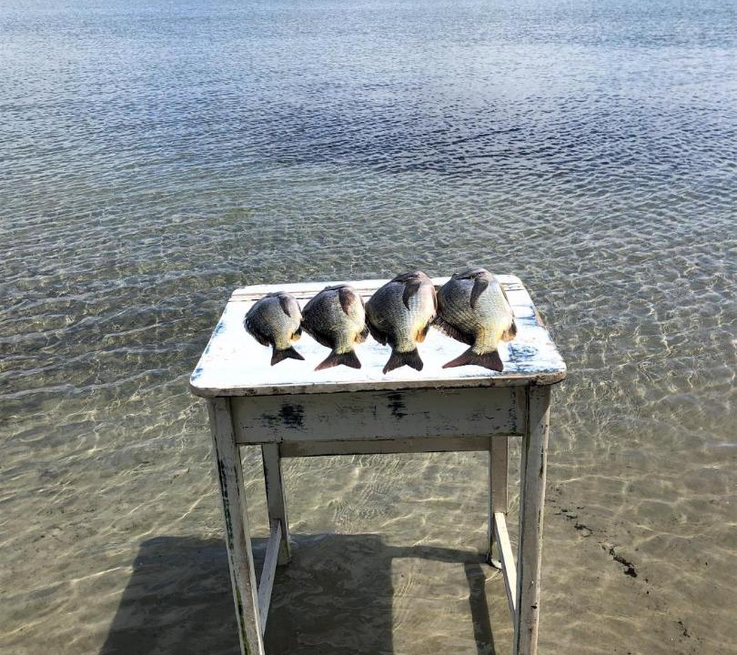 Photo of Others in Coles Bay