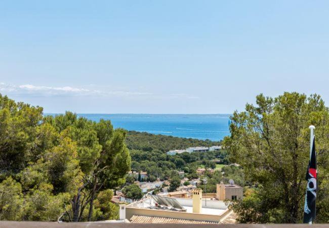 Photo of Others in Portals Nous