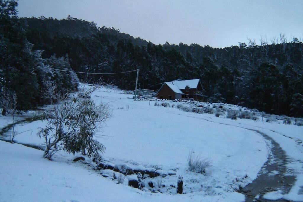 Photo of Others in Snug