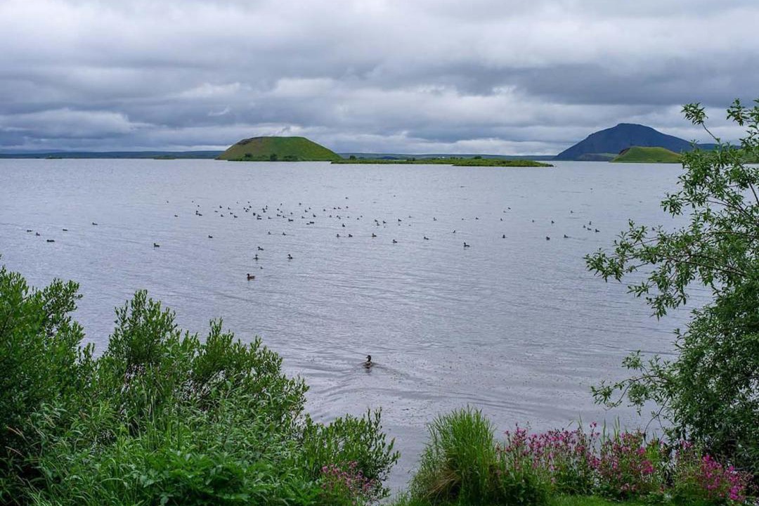 Photo of Others in Skutustadir