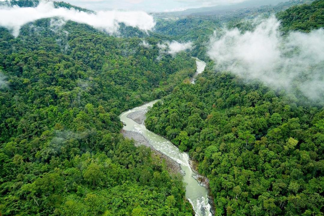 Photo of Others in Pacuare River