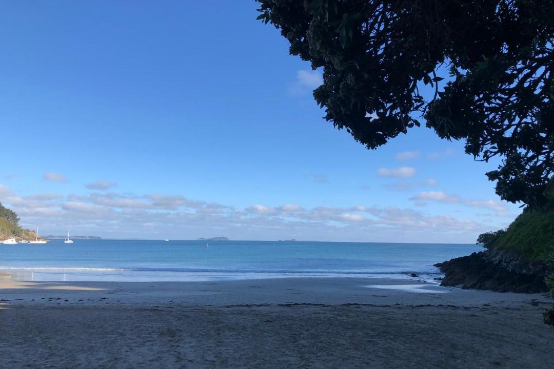 Photo of Outdoor in Palm Beach