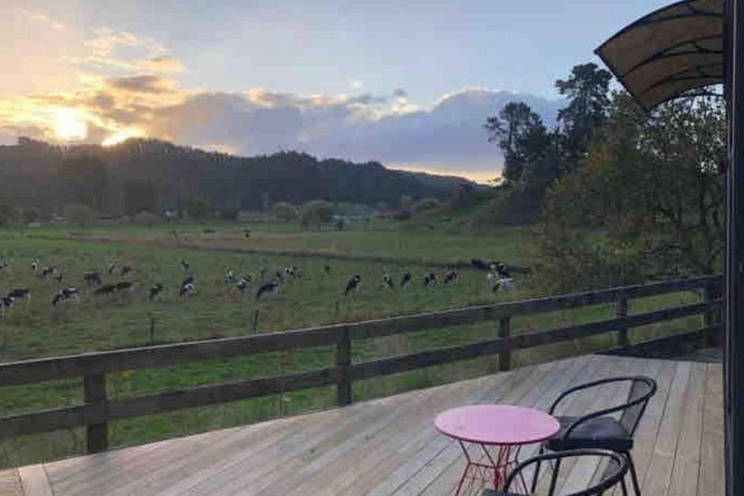 Photo of Others in Bay of Plenty Region