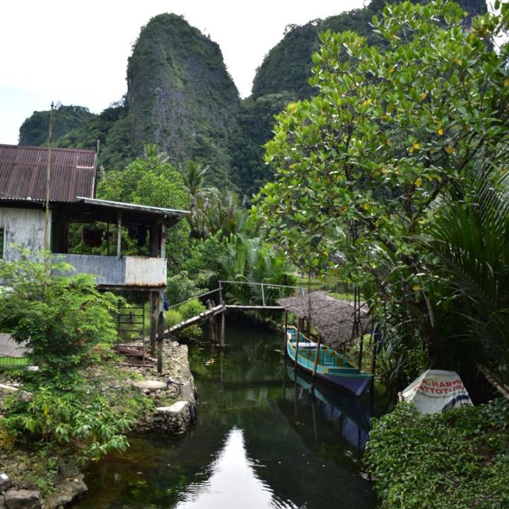 Photo of Others in Bantimurung