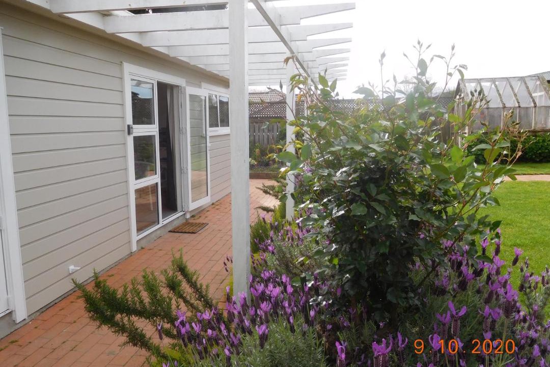 Photo of Buildings in Te Rapa