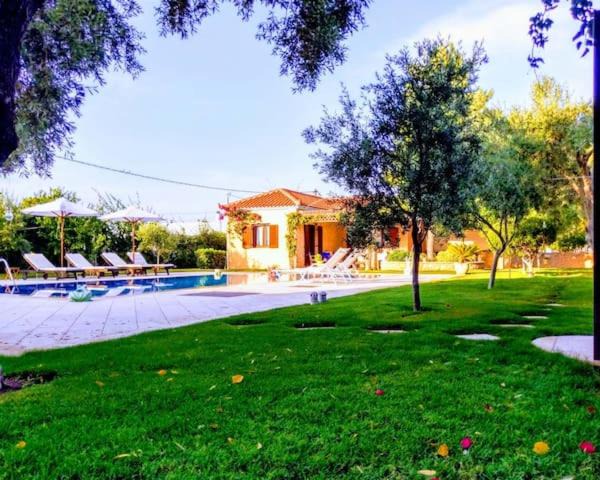 Photo of Others in Kontos