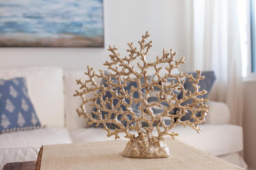 Photo of Others in Holiday Isle