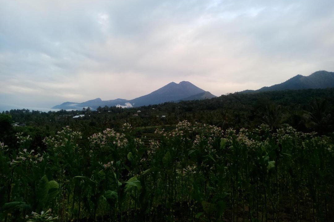 Photo of Others in Lombok