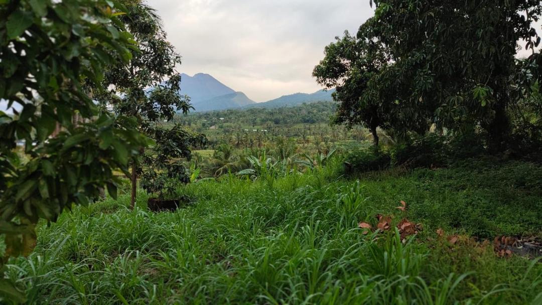 Photo of Others in Lombok