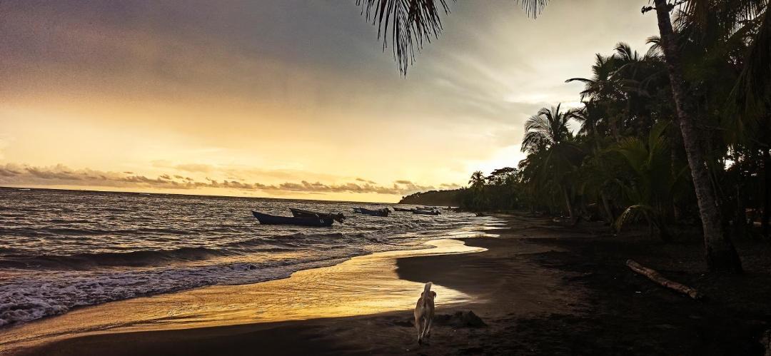 Photo of Others in Manzanillo