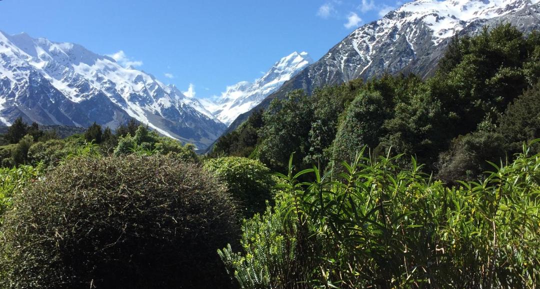 Photo of Others in Mount Cook Village