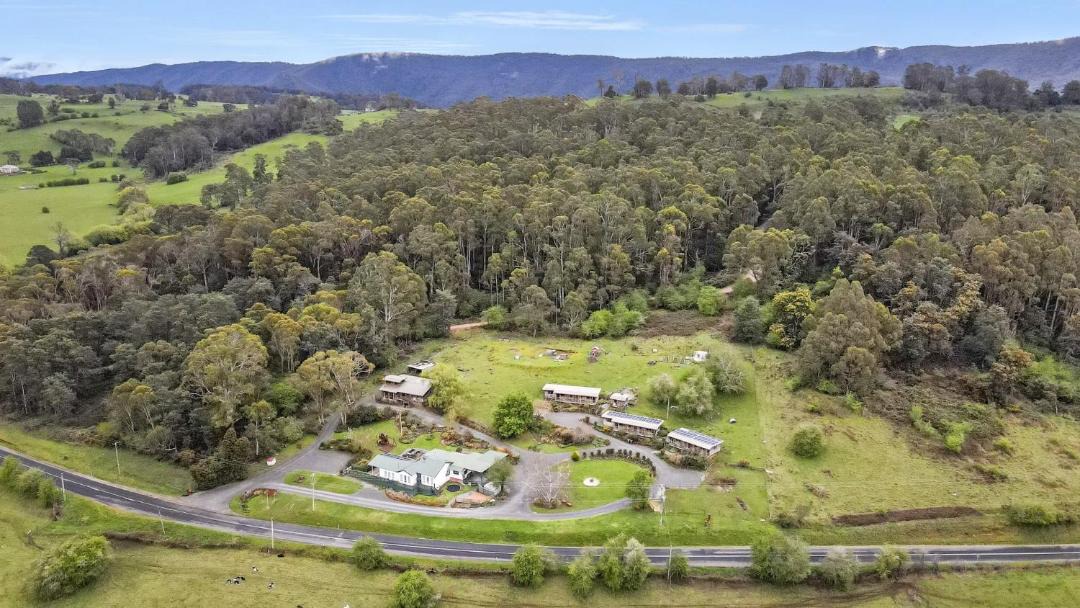 Photo of Others in Mole Creek