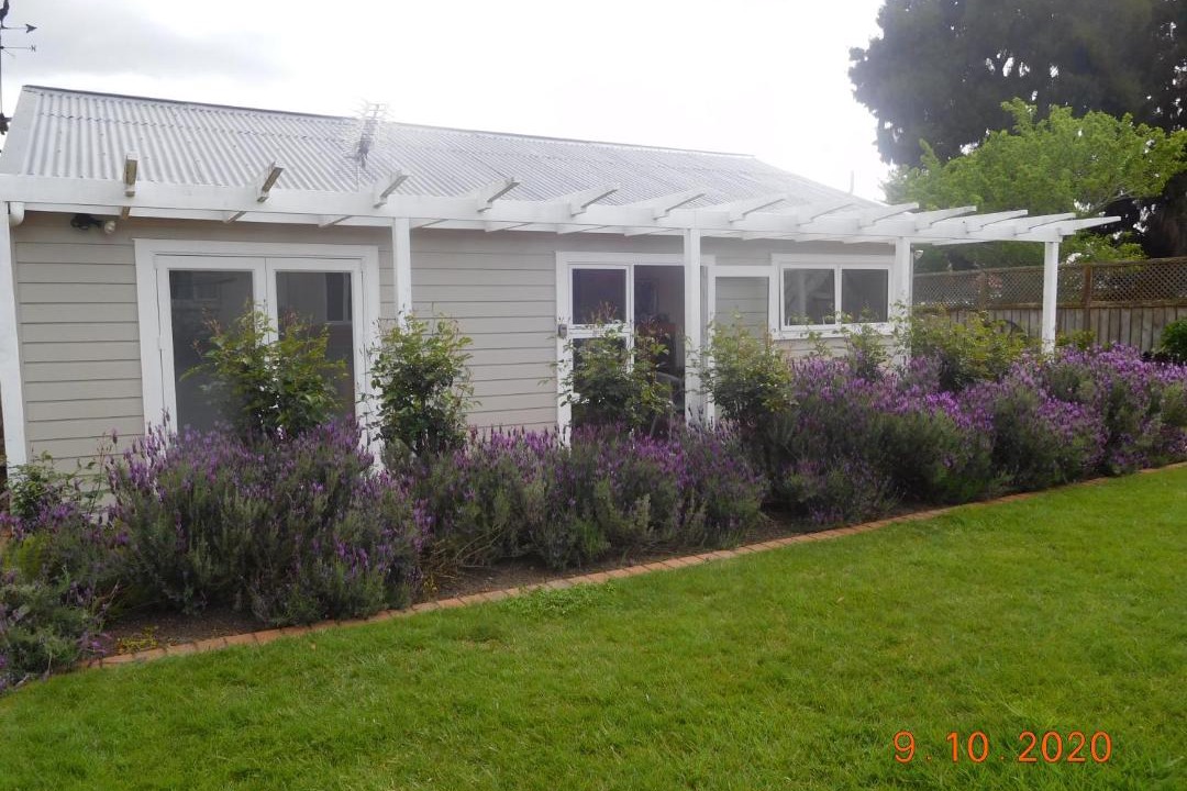 Photo of Buildings in Te Rapa